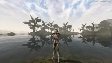 Lost Prophecies - An OpenMW Vanilla Plus Modlist
