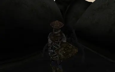 Redoran guard. Nice generation too.