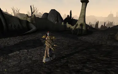 Redoran guard