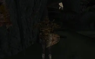 Telvanni guard