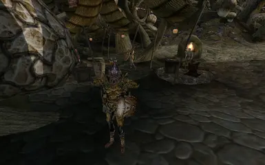 Telvanni guard