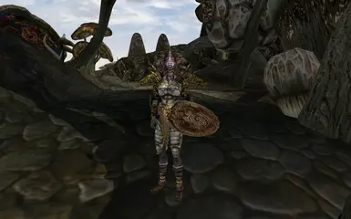 Telvanni guard
