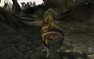 Telvanni guard