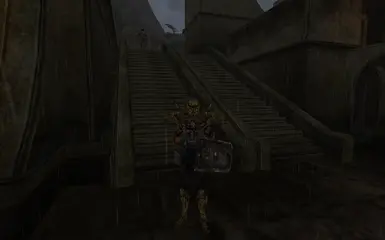 Hlaalu guard