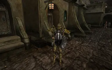 Hlaalu guard