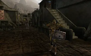 Hlaalu guard