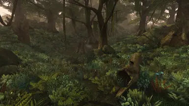Bitter Coast &amp; Sundered Scar