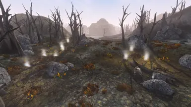 Molag Amur
