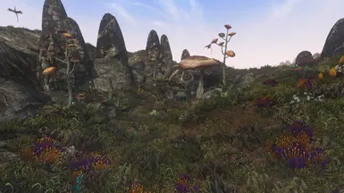 Sheogorad