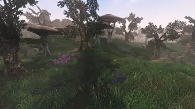 Ascadian Isles /w optional flower fields