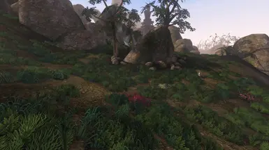 Boethiah's Spine