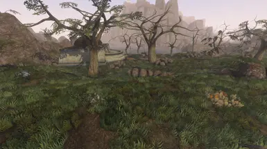 Sacred Lands