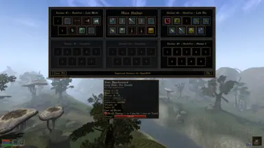 Extended Tooltips (Option)