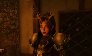 Sheo's Achlys the Bosmer Face WITH HAIR
