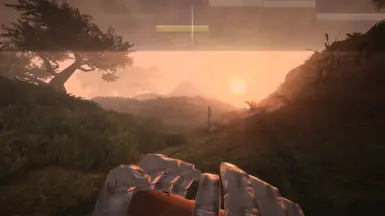 First-person playing