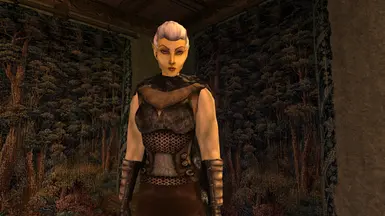 Cuirass of the Savior's Hide Replacer