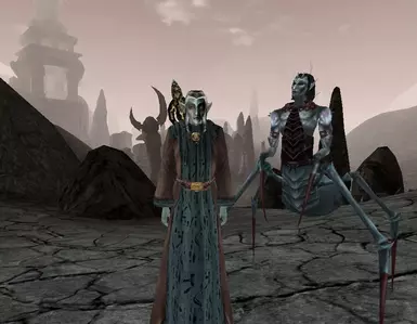 Summoned Companion