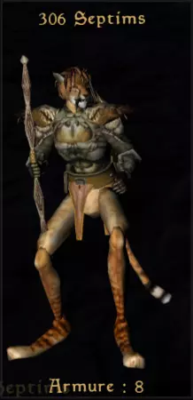 Interface - Gold Amount on Portrait