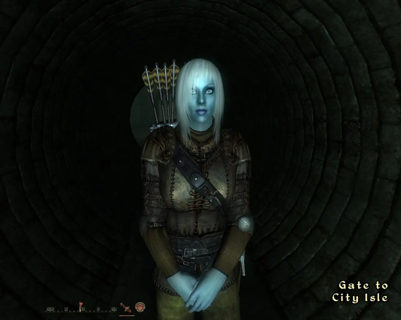 Seductive female Dark Elf template at Oblivion Nexus - mods and community