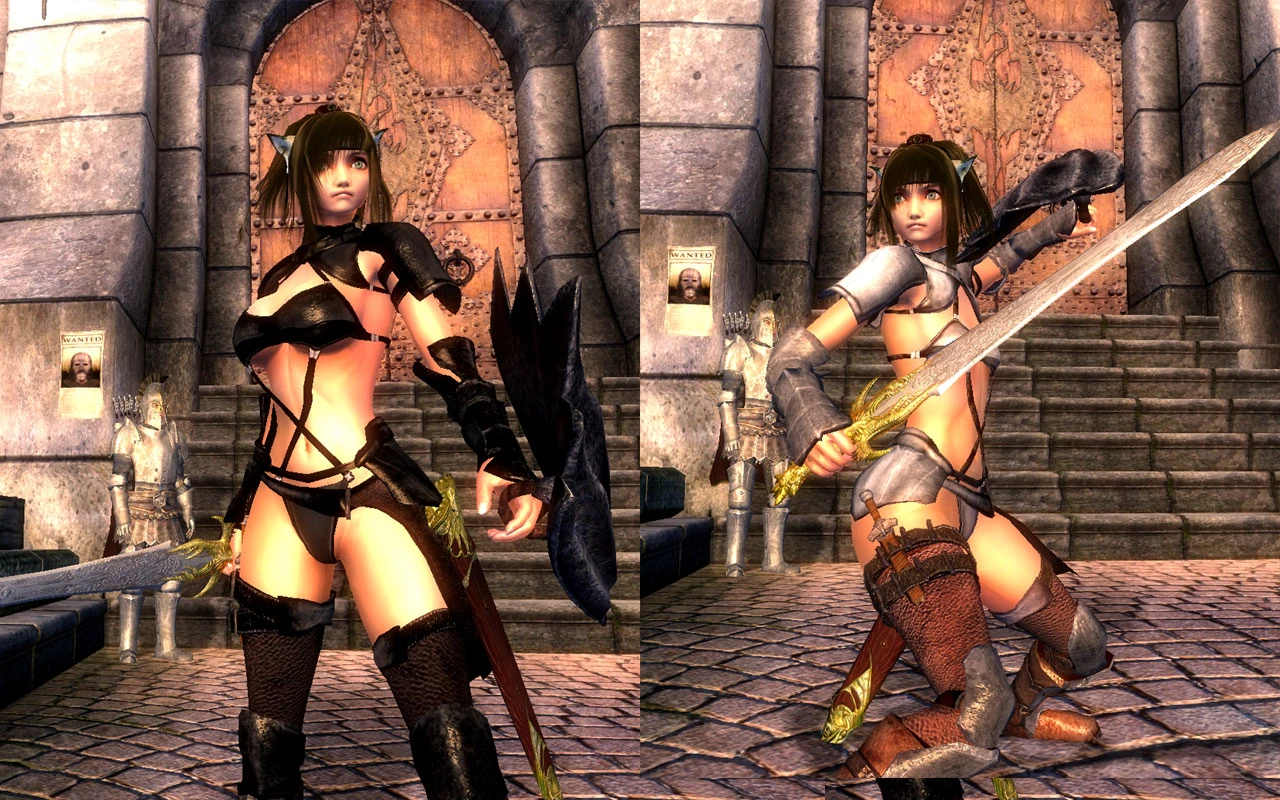 Argent Armor S M H cup and Bikini for HGEC at Oblivion Nexus - mods and  community
