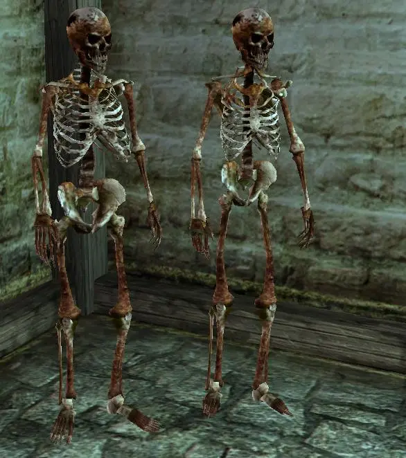 Improved Skeleton Body at Oblivion Nexus - mods and community