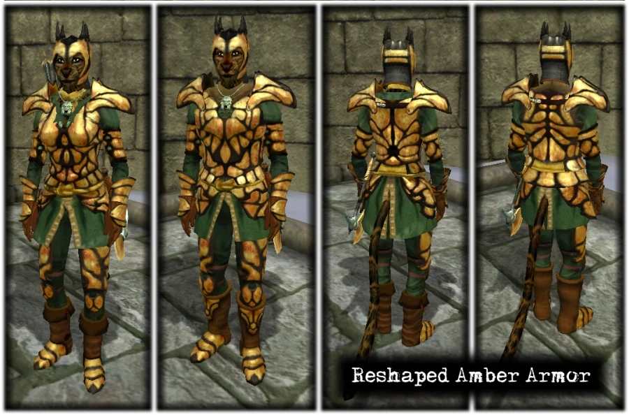 Gallery of Oblivion Amber Armor.