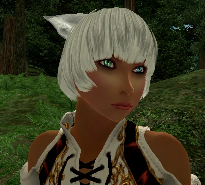 Another Miqote Race At Oblivion Nexus Mods And Community