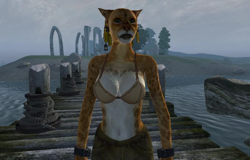 Cute Khajiit female at Oblivion Nexus mods and community. 
