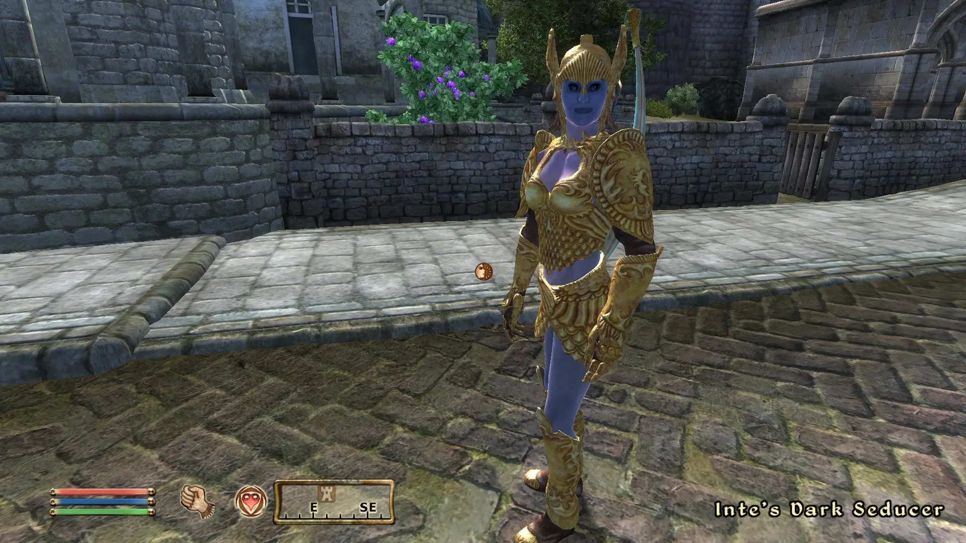 oblivion best companion mods