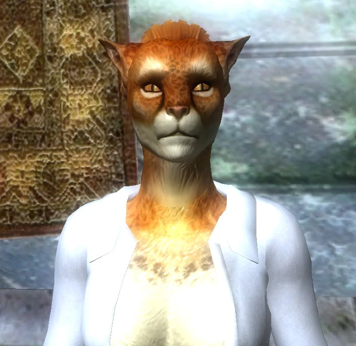 oblivion khajiit hair mods oblivion khajiit hair mods