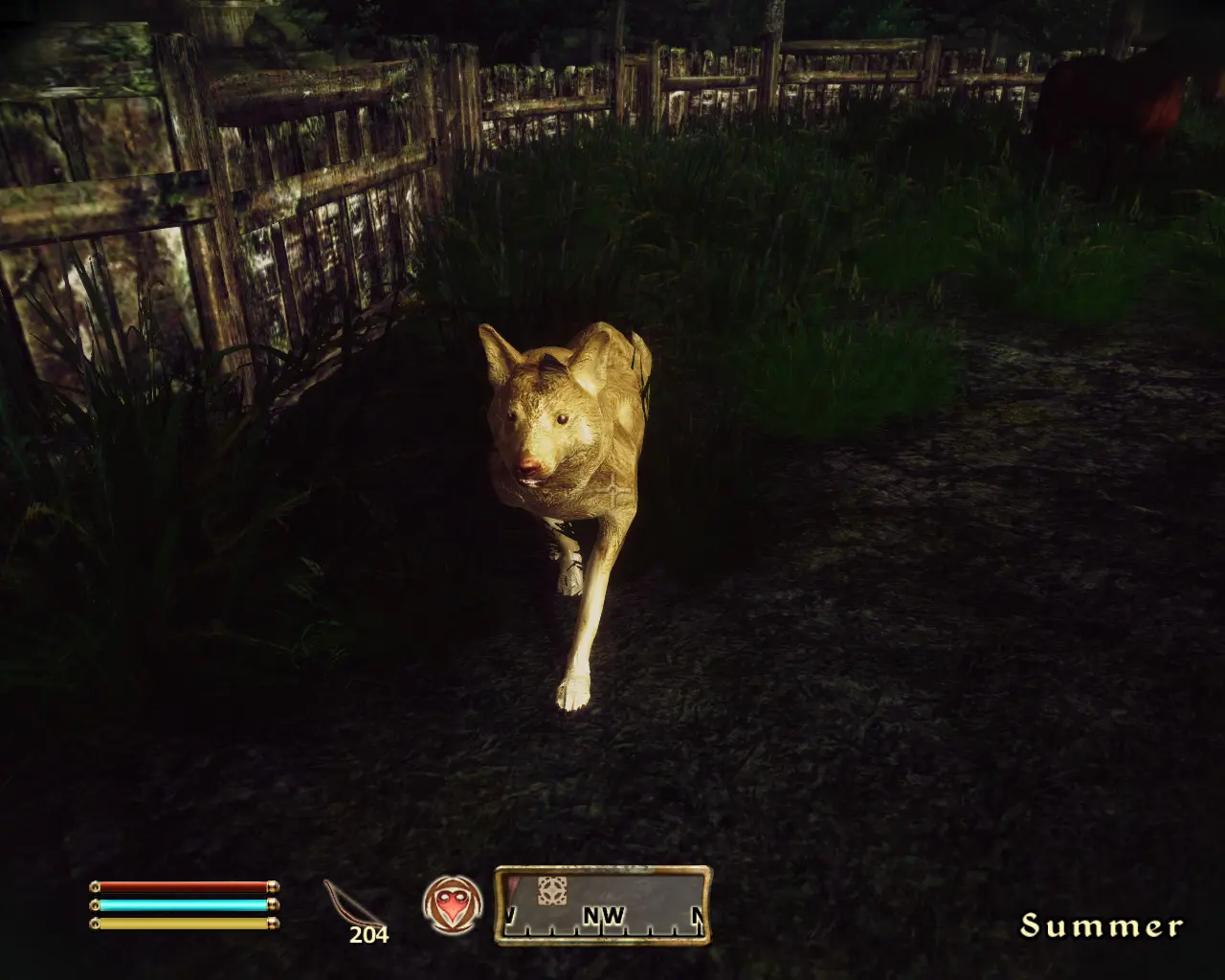 Dog Npcs Addon At Oblivion Nexus Mods And Community