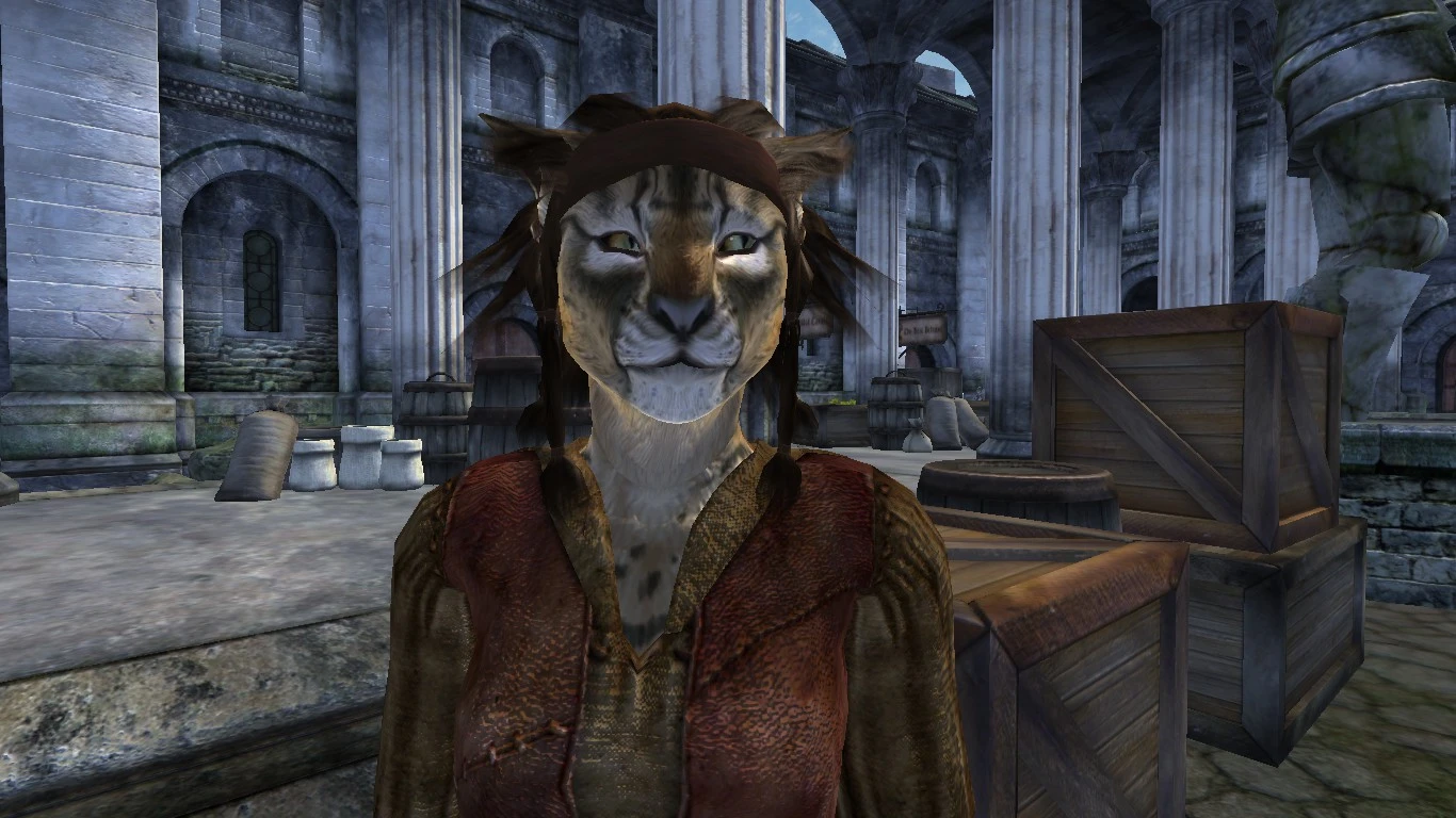 Goes well with Khajiit races from Elsweyr Anequina. 
