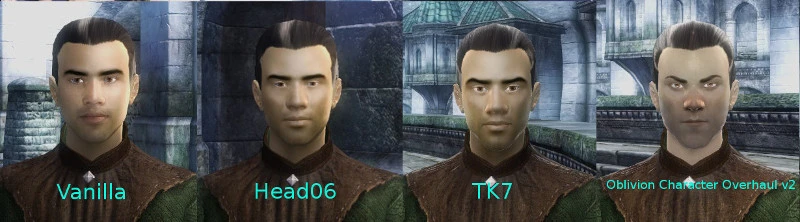 oblivion better looking characters mod