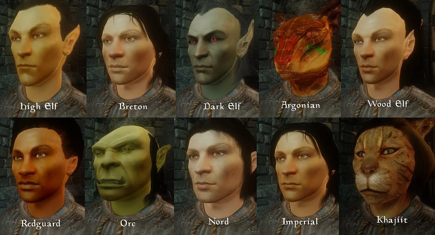 oblivion better looking characters mod