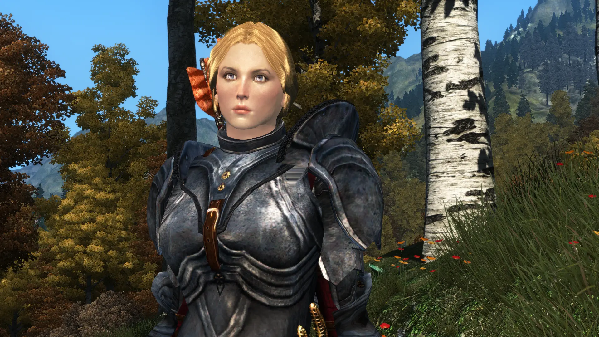 Oblivion Character Overhaul Cleaned - OCO Cleaned at Oblivion Nexus ...