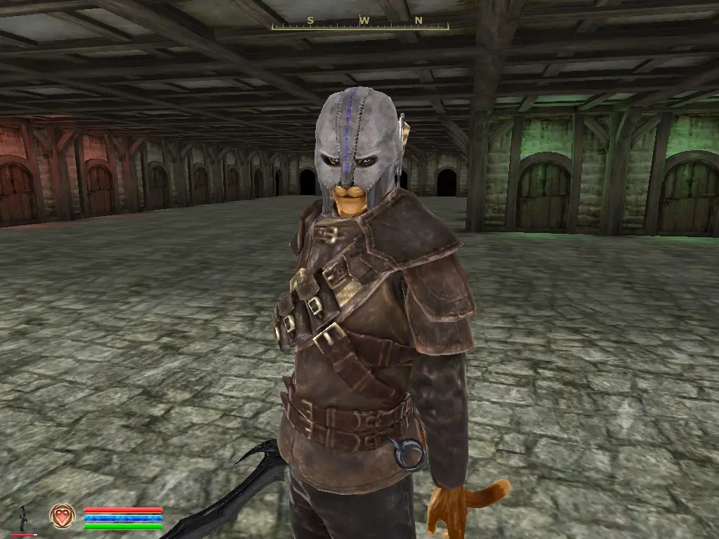 Optional Gray Cowl of Nocturnal - Khajiit and Argonians at Oblivion ...