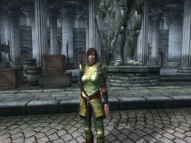 Chingaris Elven armor for Exnems