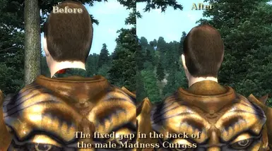 oblivion graphics overhaul mod 2019