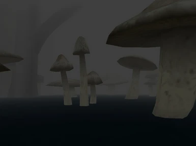 Mushroom Forest 1