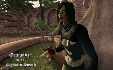 Gramanza Half Orc Half Dark Elf with Argonian sword