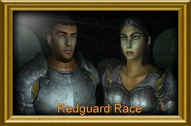 OFTP Redguard