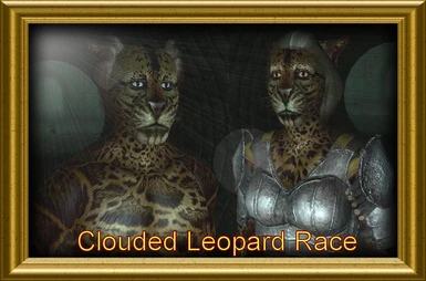 OFTP Clouded Leopard
