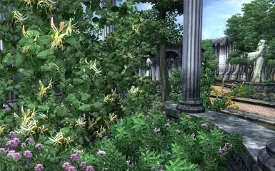 Improved Trees and Flora 2