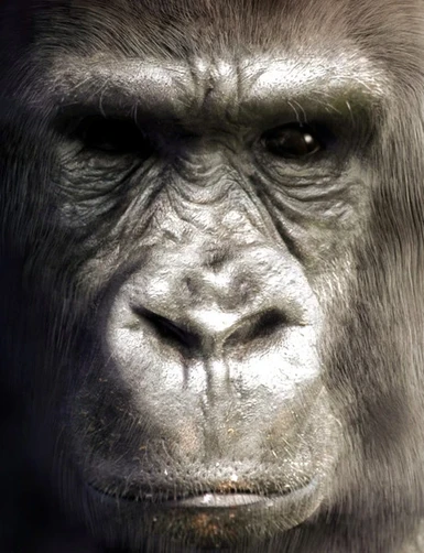Gorilla by Everett Gunther