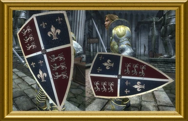 Medieval Shields The Dark Prince