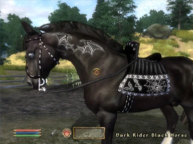 Dark Rider Armor Horse