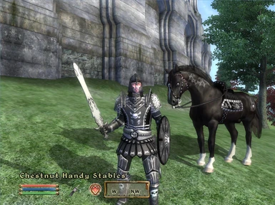 Dark Rider Armor and Horse