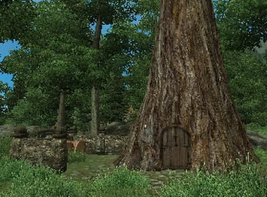 Druid Tree Home