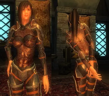 Iron Chainmail