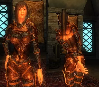 Leather Chainmail